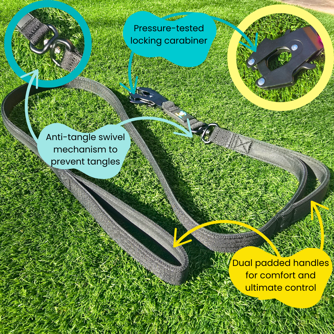 Black Ultimate Strength Lead – Lightweight, Strong, and Ready for Adventure
