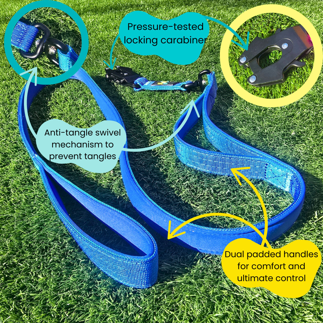 Blue Ultimate Strength Lead – Lightweight, Strong, and Ready for Adventure
