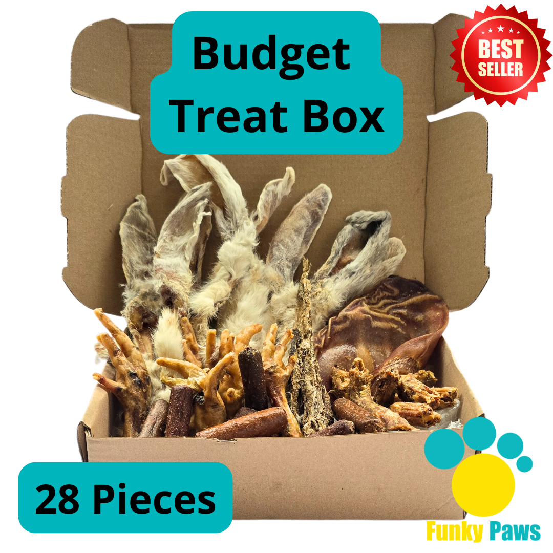 28 Piece Budget Box by Funky Paws Co – affordable natural dog treats UK
Selection of budget-friendly natural dog chews from Funky Paws Co
