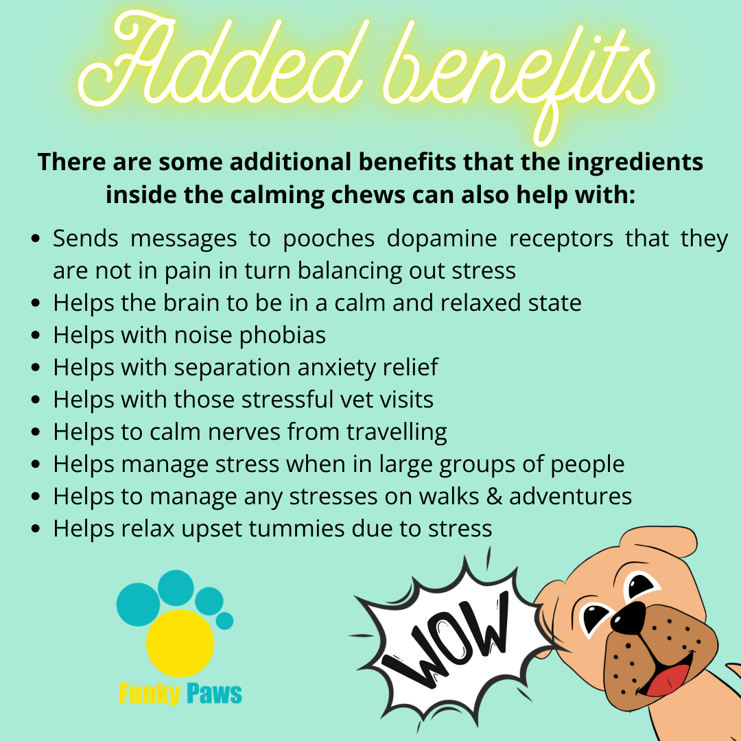 Calming Chews for Dogs | Anxiety Relief Supplement UK | Funky Paws Co