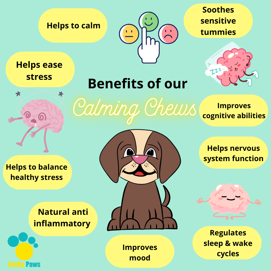 Calming Chews for Dogs | Anxiety Relief Supplement UK | Funky Paws Co
