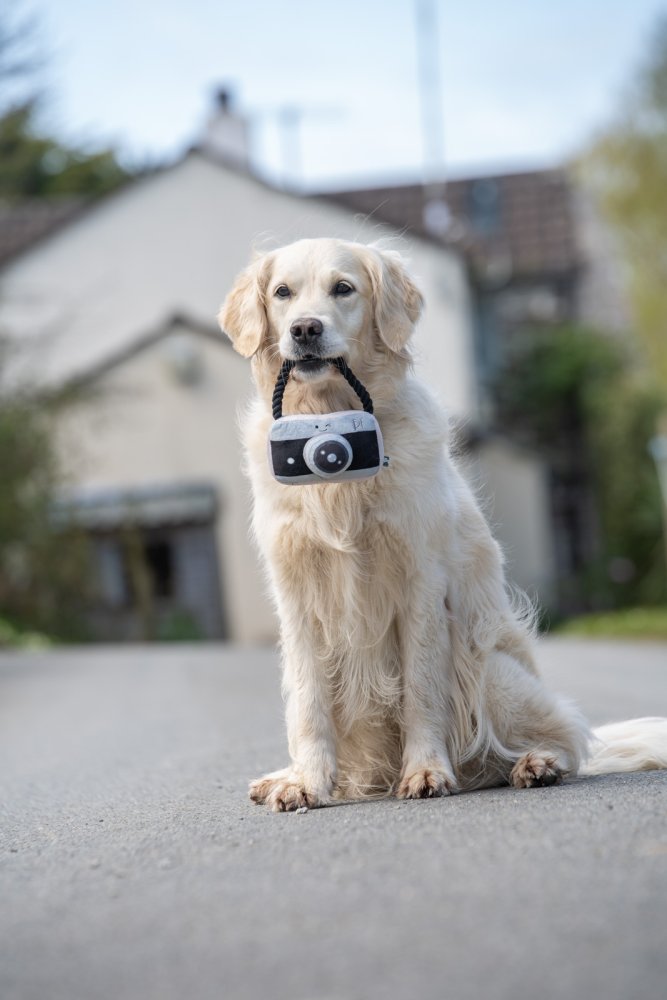Petface Retro Camera With Rope Plush Dog Toy - product detail | Funky Paws Co