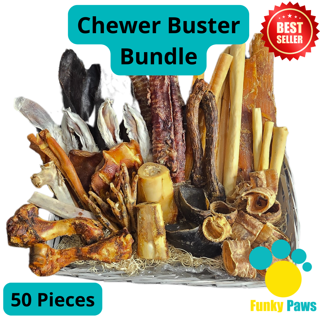 50 Piece Chewer Buster Bundle by Funky Paws Co – natural dog chew treats UK
Variety of natural dog chews and treats from Funky Paws Co