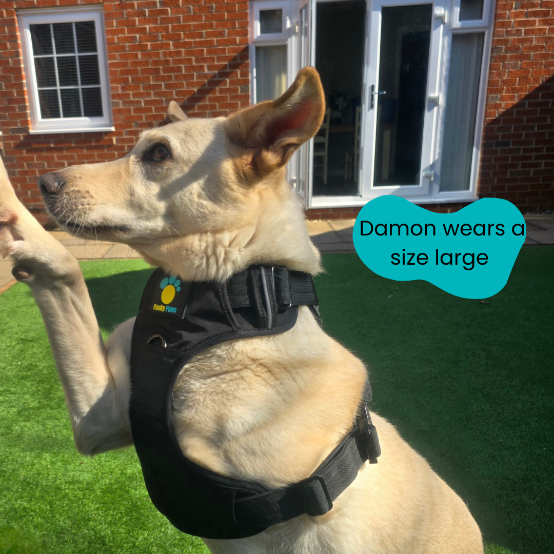 Black Ultimate Strength Harness – Built for Power, Designed for Comfort