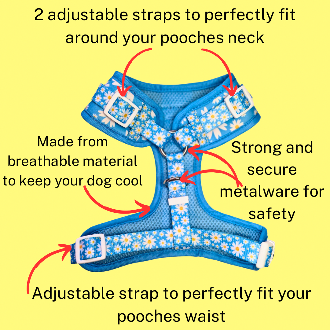 Adjustable Harness - Cool Daisy