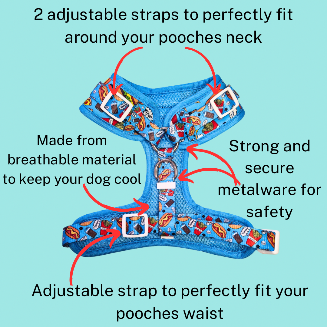 Adjustable Harness - Funky Foodie