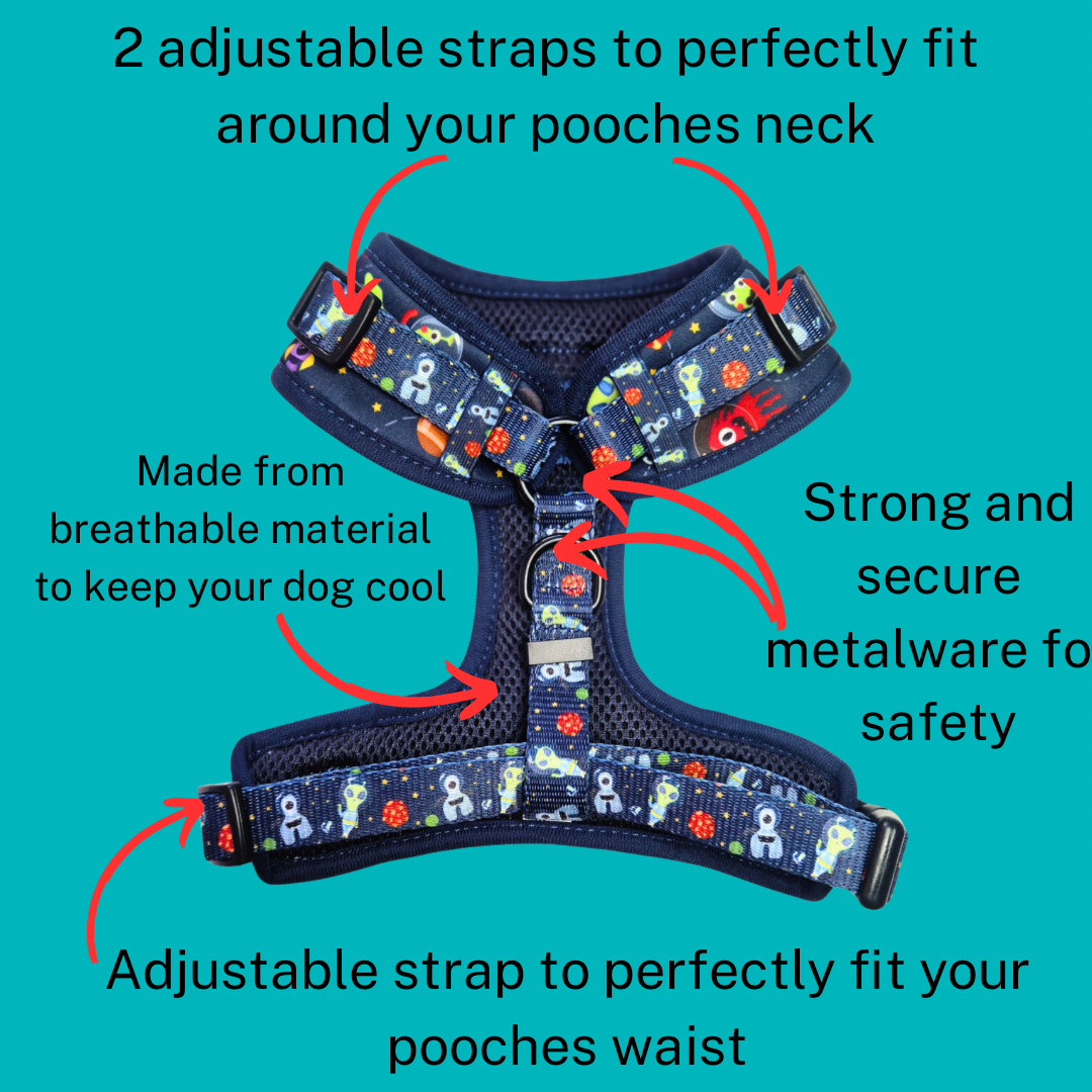 Adjustable Harness - Outer Space