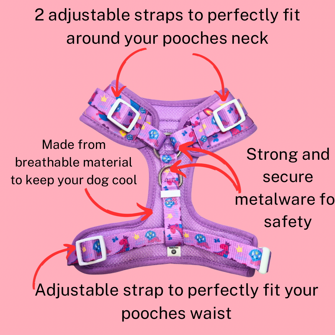 Dino Princess Bundle
