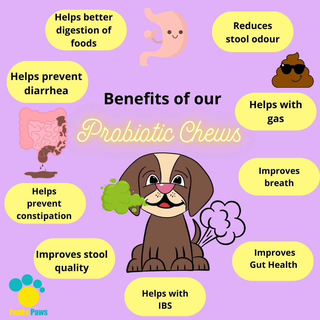 Probiotic Chews for Dogs | Digestive Health Supplement UK | Funky Paws Co