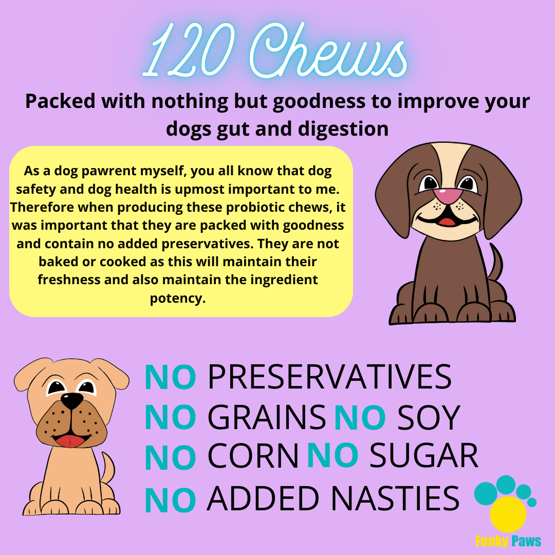 Probiotic Chews for Dogs | Digestive Health Supplement UK | Funky Paws Co
