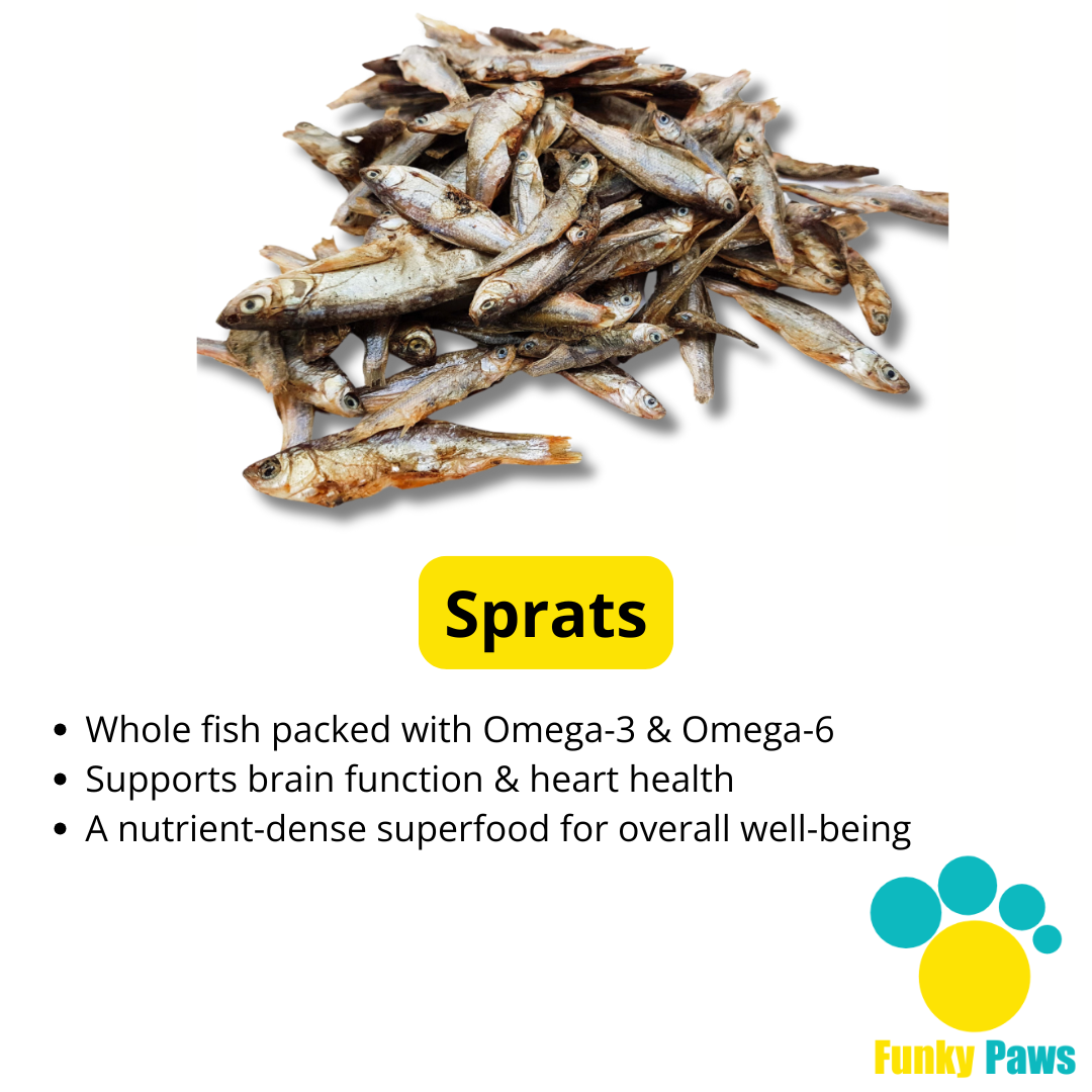 The Ocean Feast Bundle | Natural Fish Dog Treats & Salmon Oil UK | Funky Paws Co
