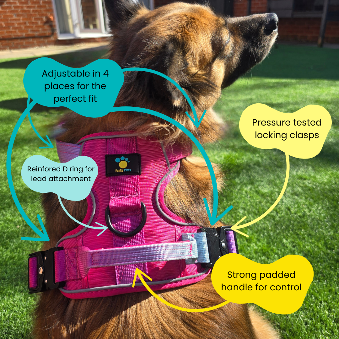 Pink Ultimate Strength Harness – Built for Power, Designed for Comfort