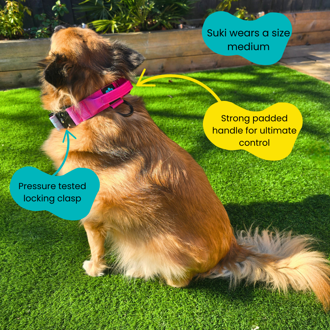 Pink Ultimate Strength Collar – Strength, Comfort & Safety for Every Pup