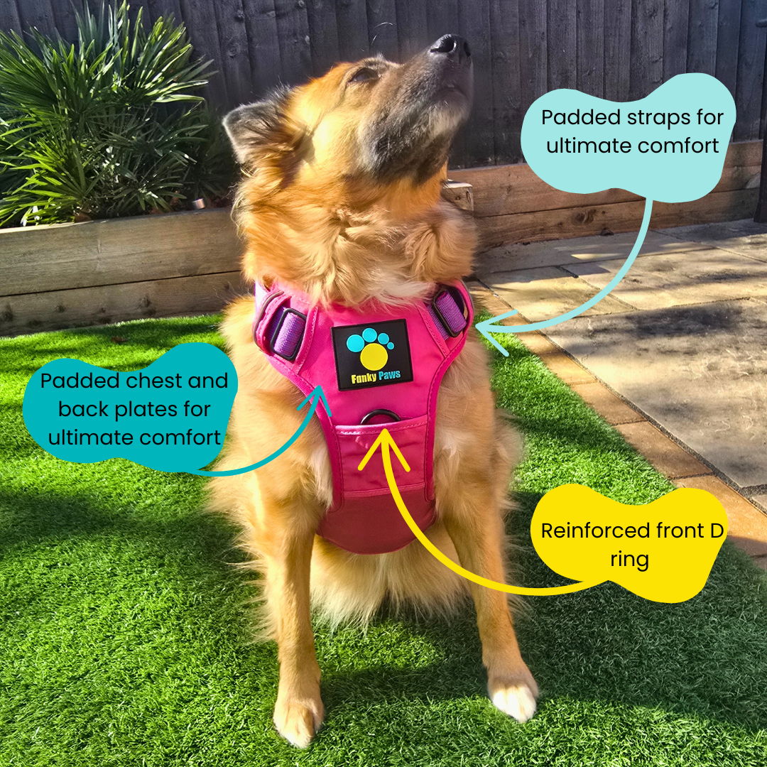 Pink Ultimate Strength Harness – Built for Power, Designed for Comfort