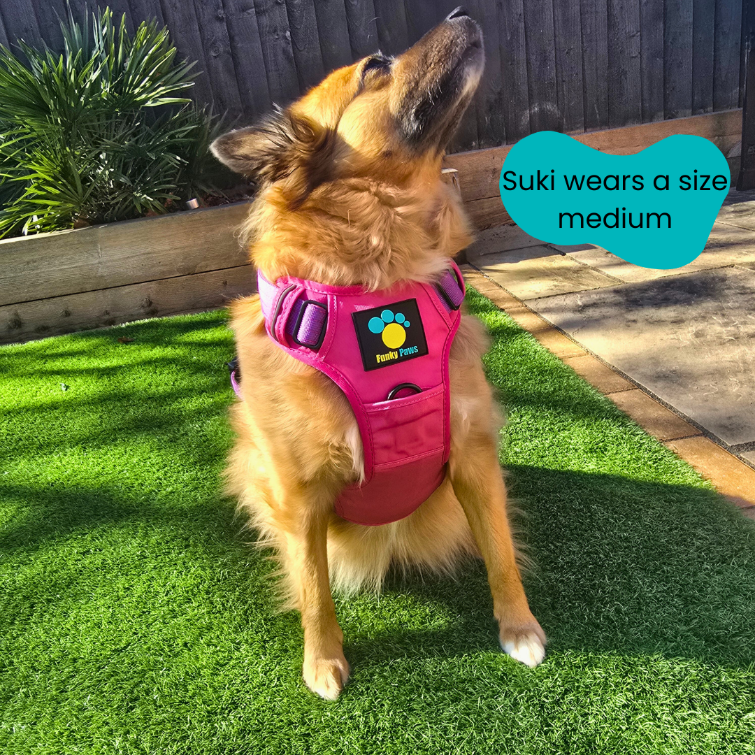 Pink Ultimate Strength Harness – Built for Power, Designed for Comfort