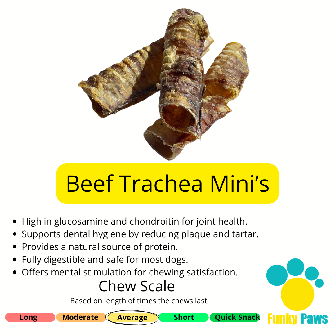 Natural trachea mini dog chews from the Best Seller Bundle