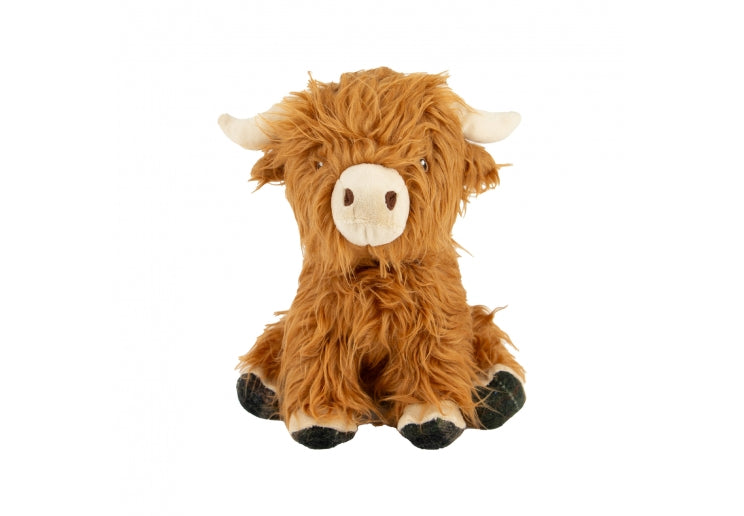 Fergus Highland Cow