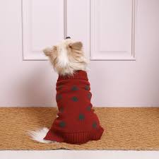 Tree Print Jumper