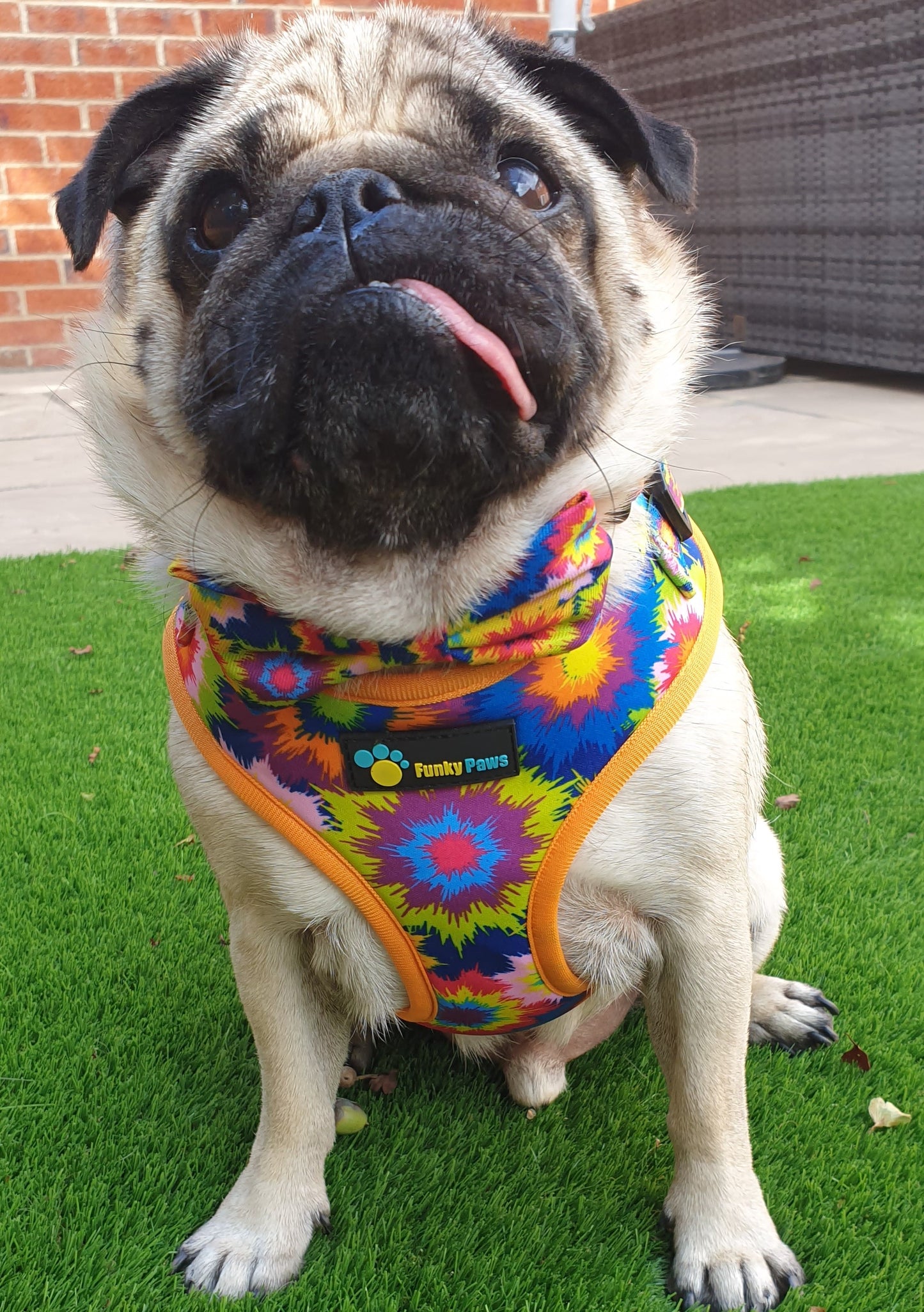 Adjustable Harness - Tie Dye