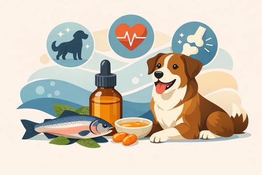 Salmon Oil for Dogs Benefits Explained