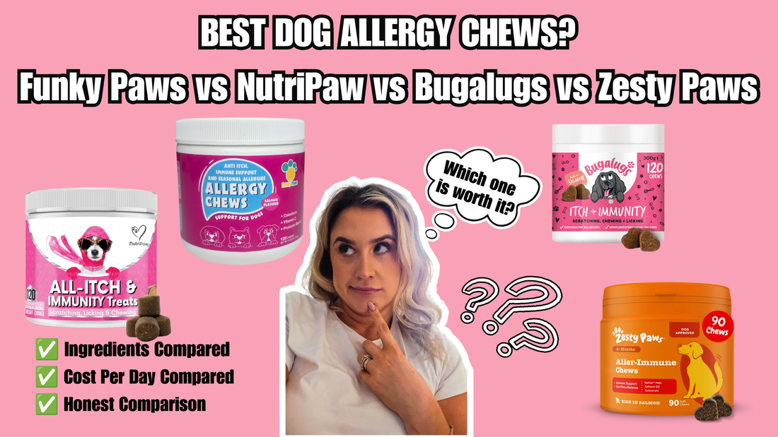 FUNKY PAWS VS NUTRIPAW VS BUGALUGS VS ZESTY PAWS: WHICH ALLERGY CHEWS ARE BEST FOR DOGS?