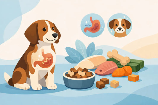 What Treats Suit Sensitive Stomachs?