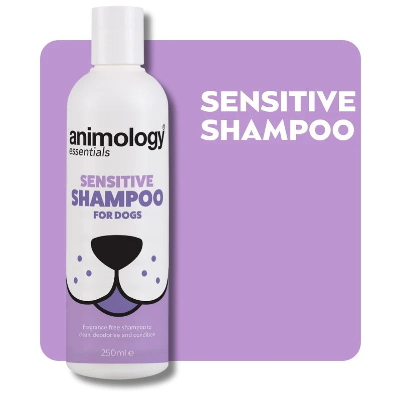 Animology Essentials Shampoo's - Various Scents - lifestyle shot | Funky Paws Co