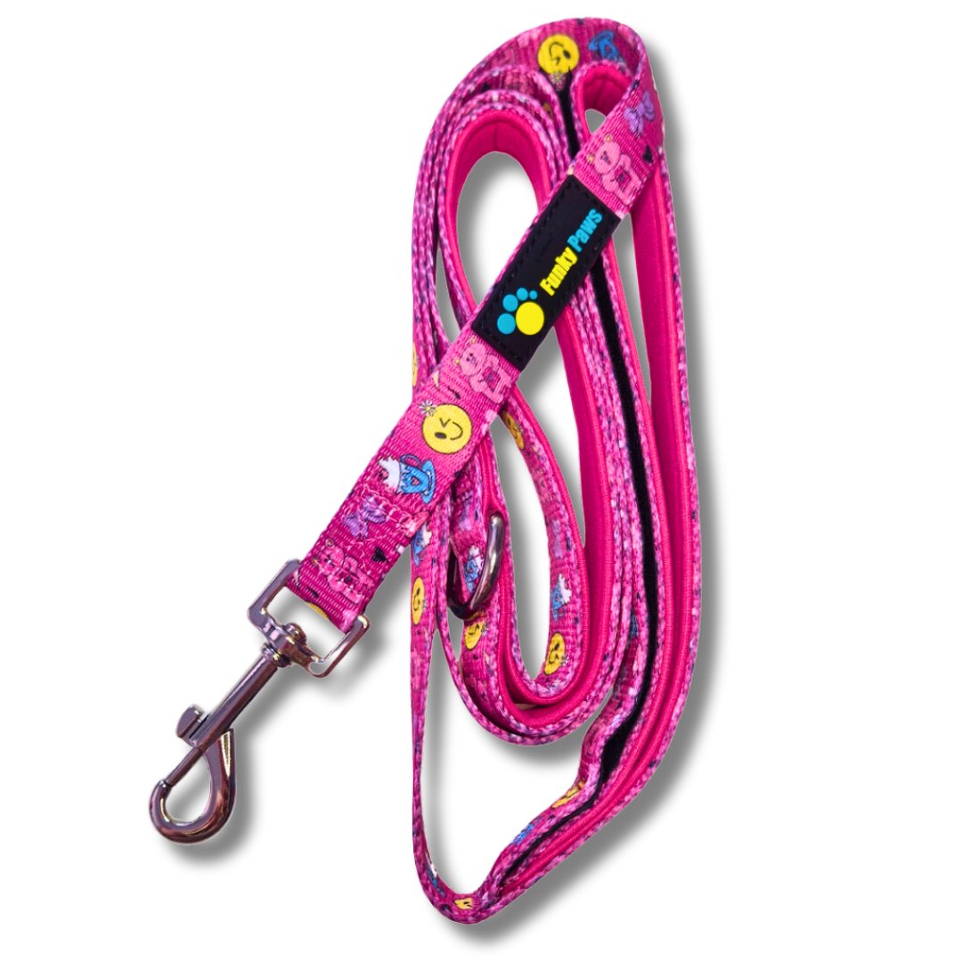 Double Handle Lead - Girls BFF's