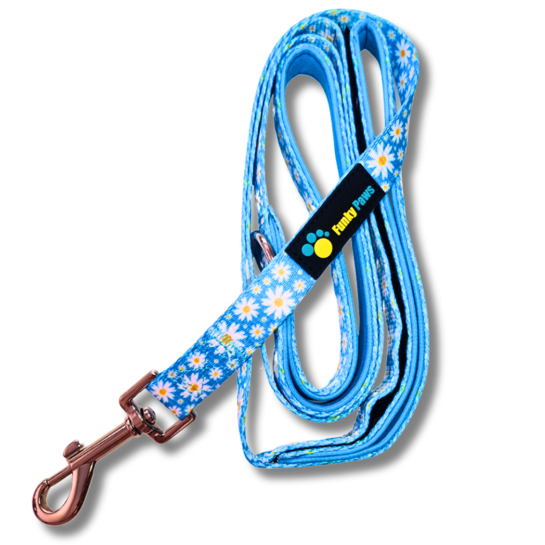 Double Handle Lead - Cool Daisy