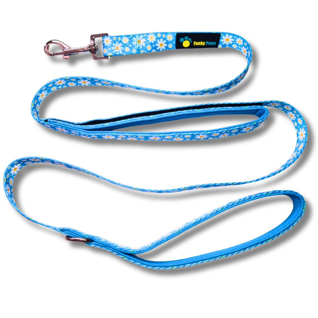 Double Handle Lead - Cool Daisy