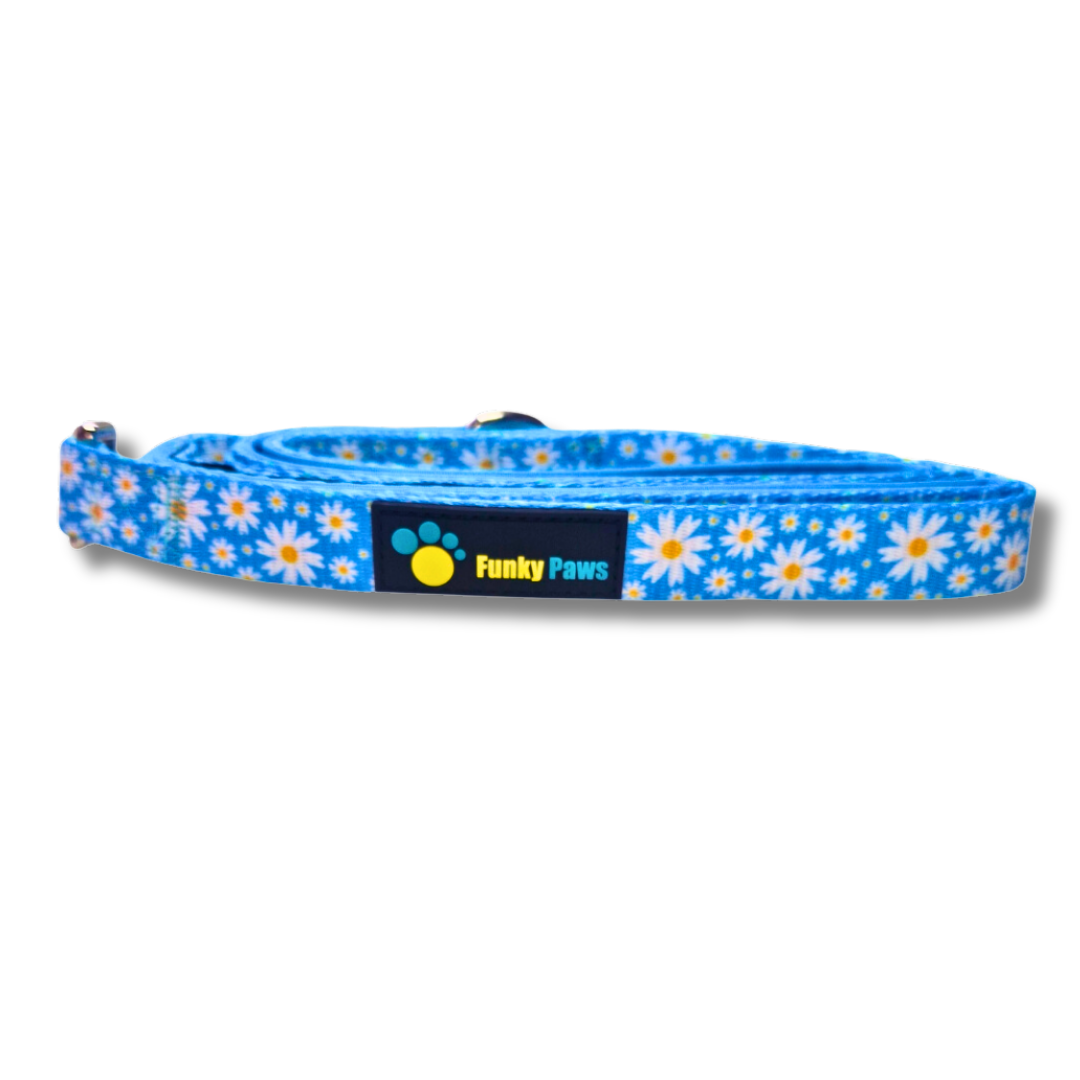 Cool Daisy Bundle