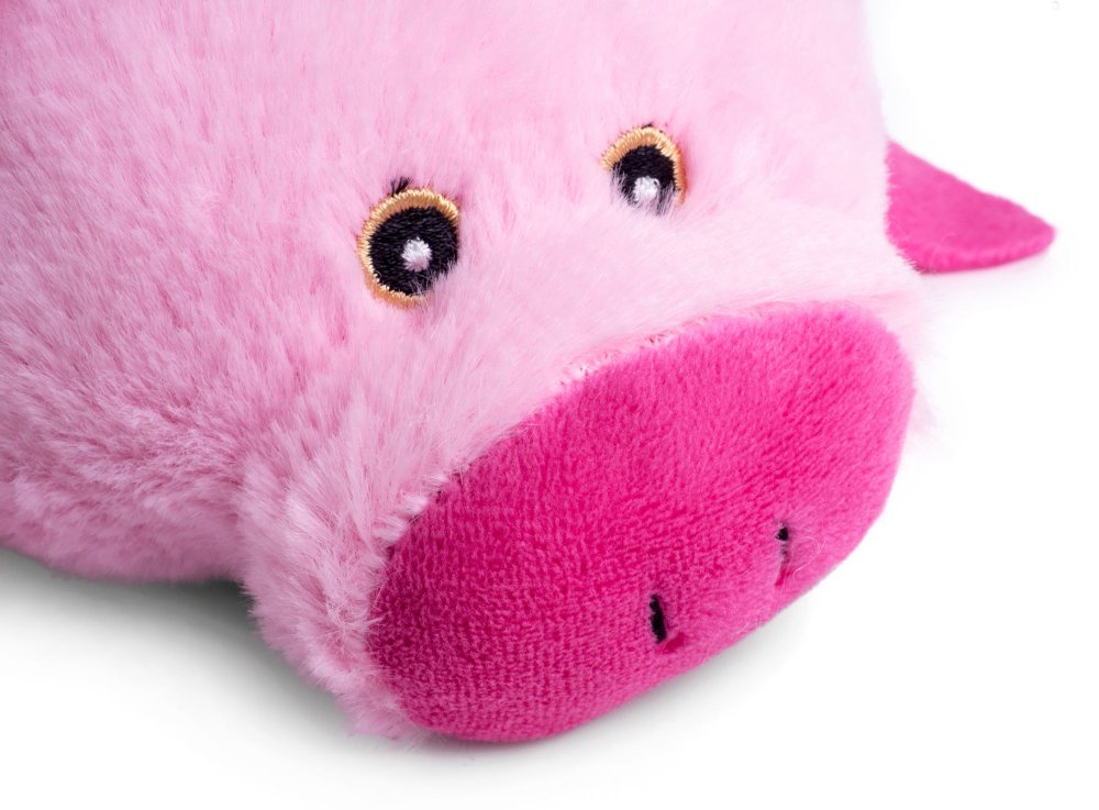 Petface Buddies Crinkle Flat Pig Plush Dog Toy - lifestyle shot | Funky Paws Co