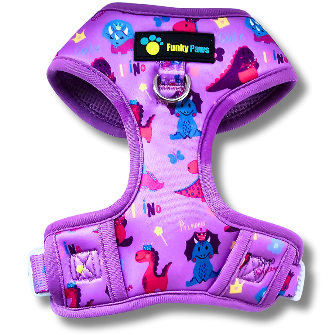 Dino Princess Bundle