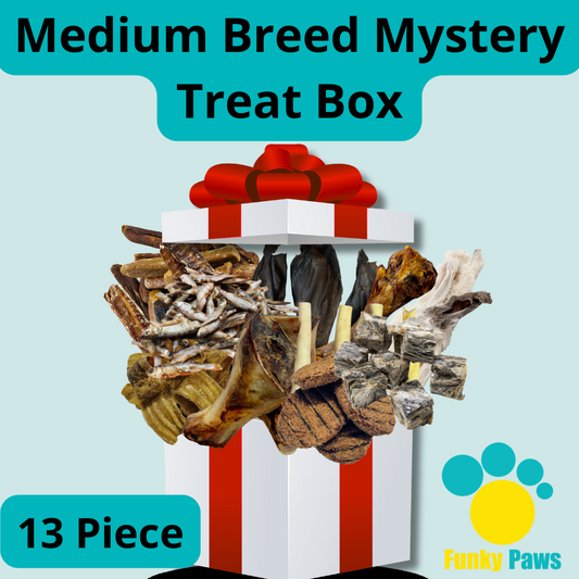 Medium Breed Mystery Treat Box - 13 Piece