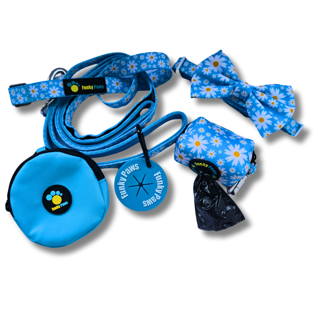 The Ultimate Dog Walk Bundle + Collar and Bowtie - Outer Space