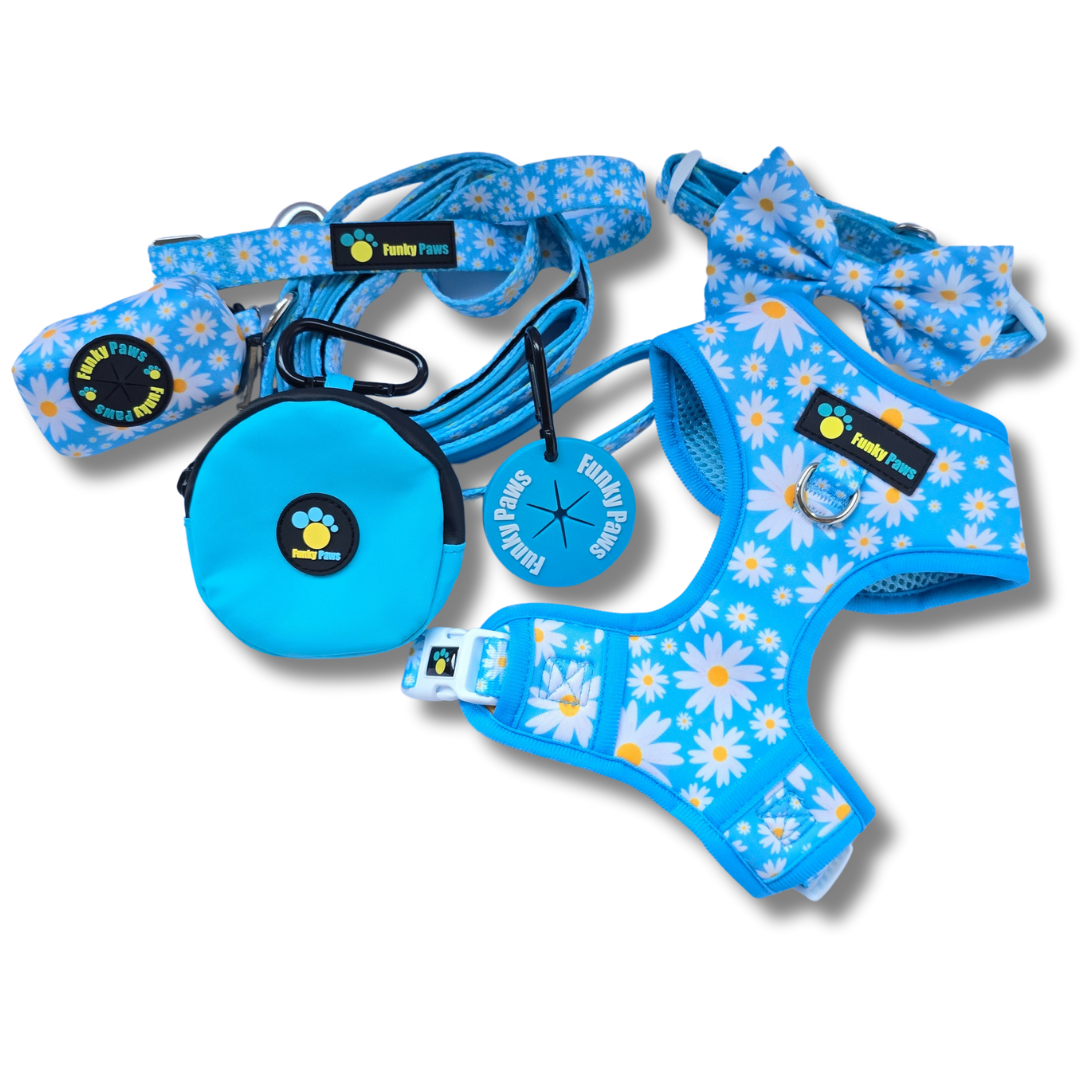 The Ultimate Dog Walk Bundle + Adjustable Harness and Collar with Bowtie - Funky Foodie