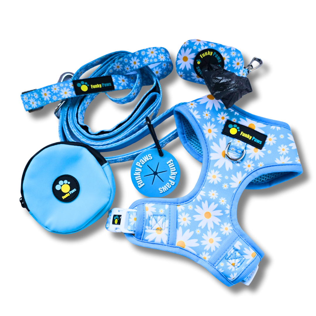 The Ultimate Dog Walk Bundle + Adjustable Harness - Dino Princess