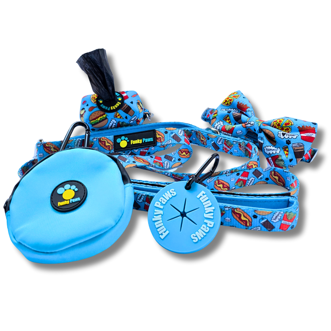 The Ultimate Dog Walk Bundle + Collar and Bowtie - Outer Space