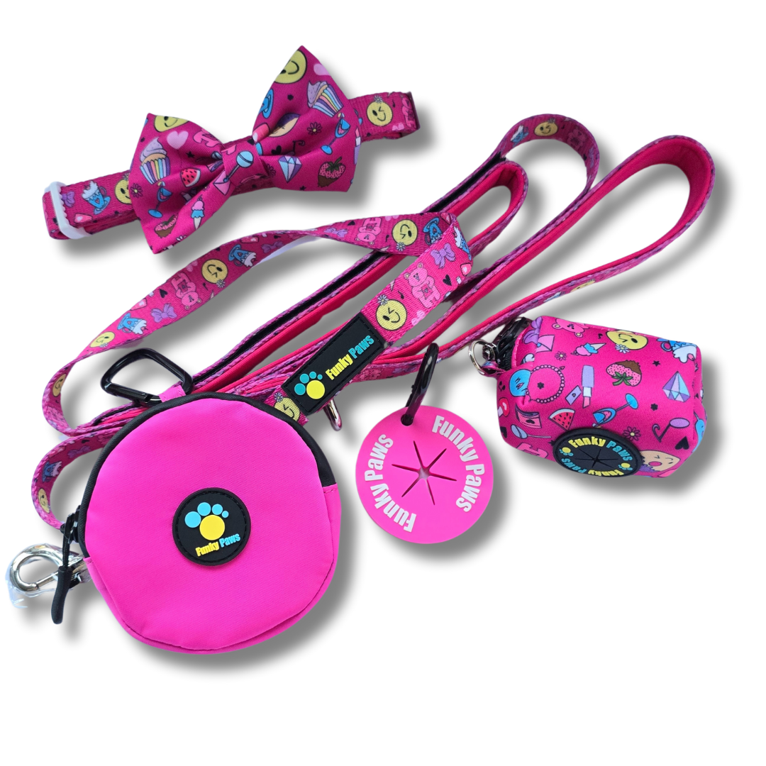 The Ultimate Dog Walk Bundle + Collar and Bowtie - Outer Space