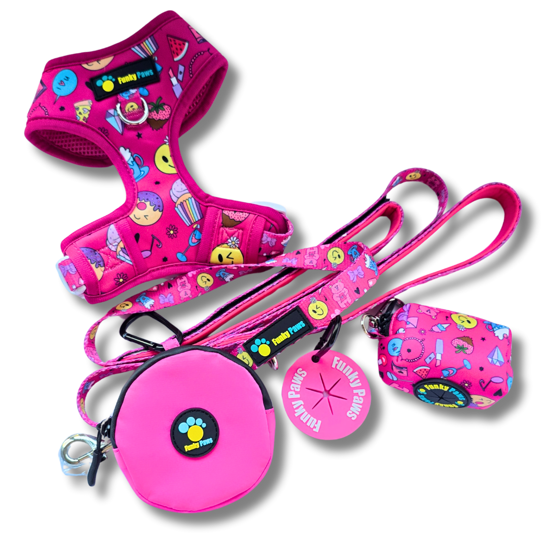 The Ultimate Dog Walk Bundle + Adjustable Harness - Dino Princess