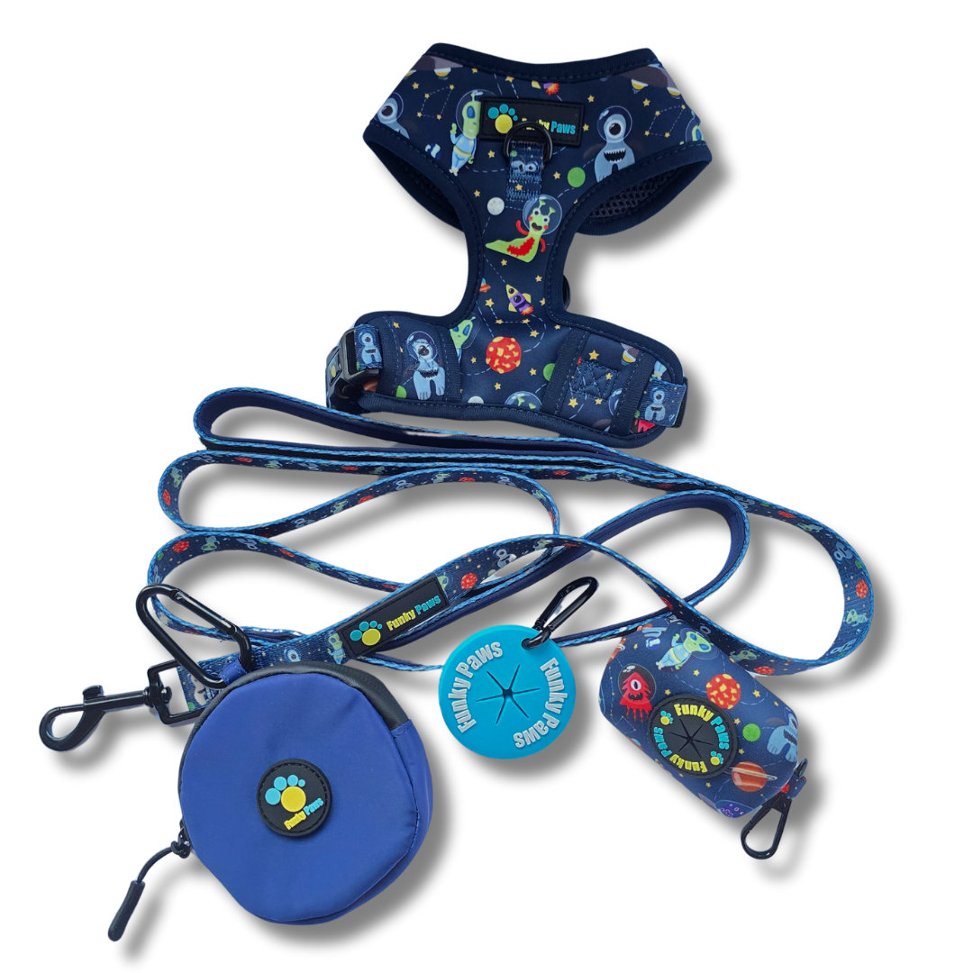 The Ultimate Dog Walk Bundle + Adjustable Harness - Dino Princess