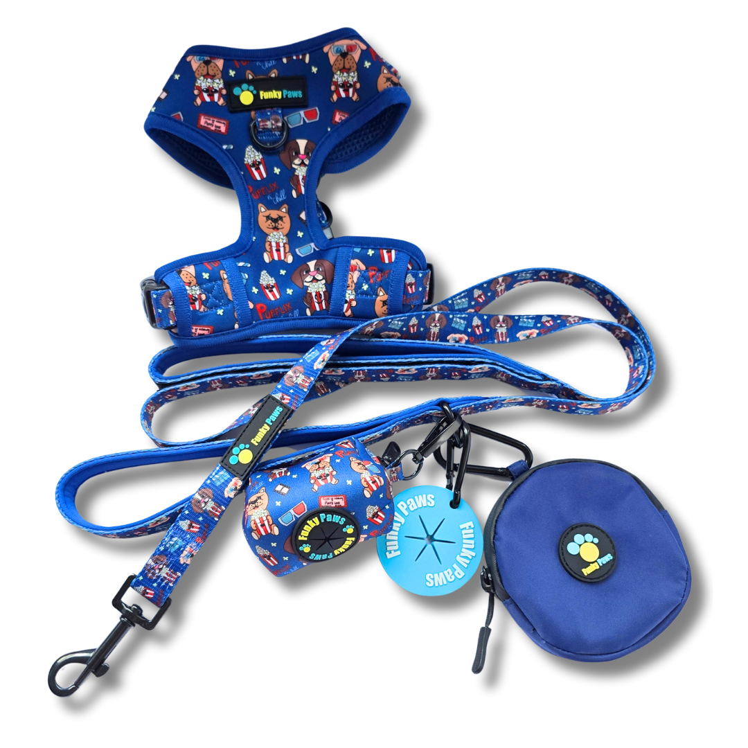 The Ultimate Dog Walk Bundle + Adjustable Harness - Dino Princess