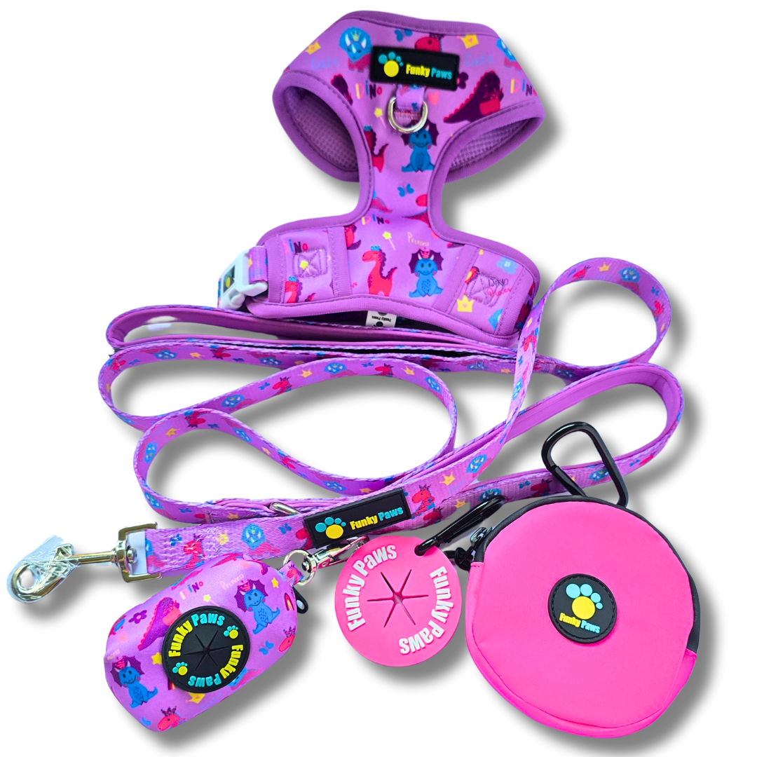 The Ultimate Dog Walk Bundle + Adjustable Harness - Dino Princess