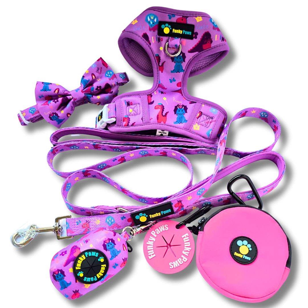 The Ultimate Dog Walk Bundle + Adjustable Harness and Collar with Bowtie - Funky Foodie