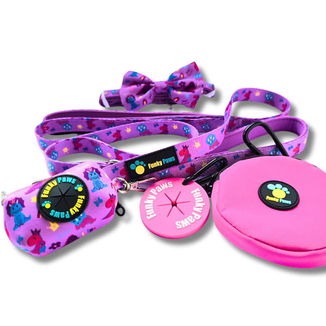 The Ultimate Dog Walk Bundle + Collar and Bowtie - Outer Space