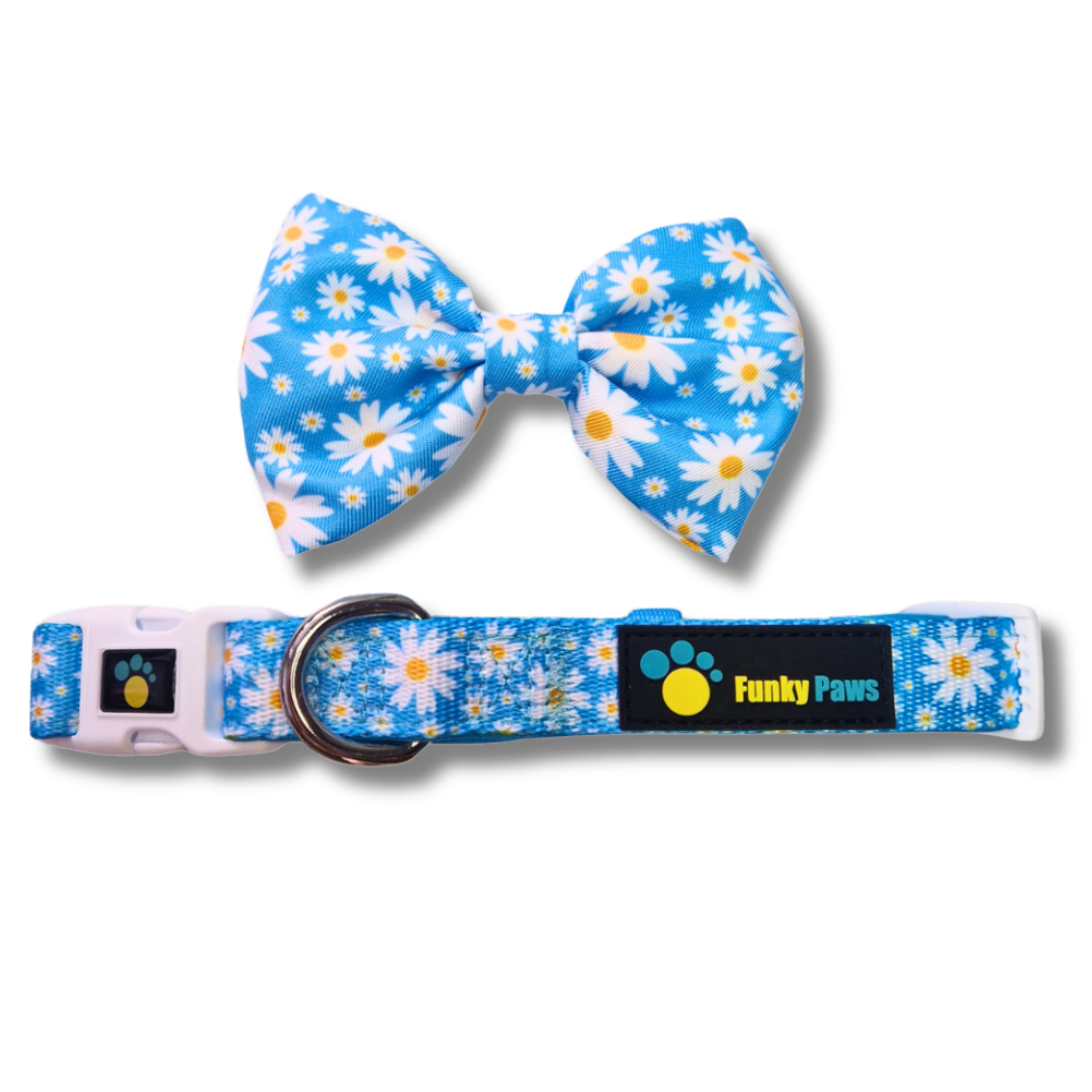 Collar and Bowtie - Cool Daisy