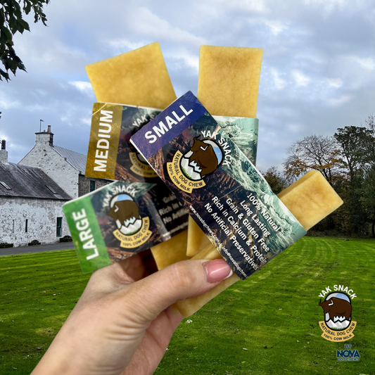 Natural Himalayan Yak Chews