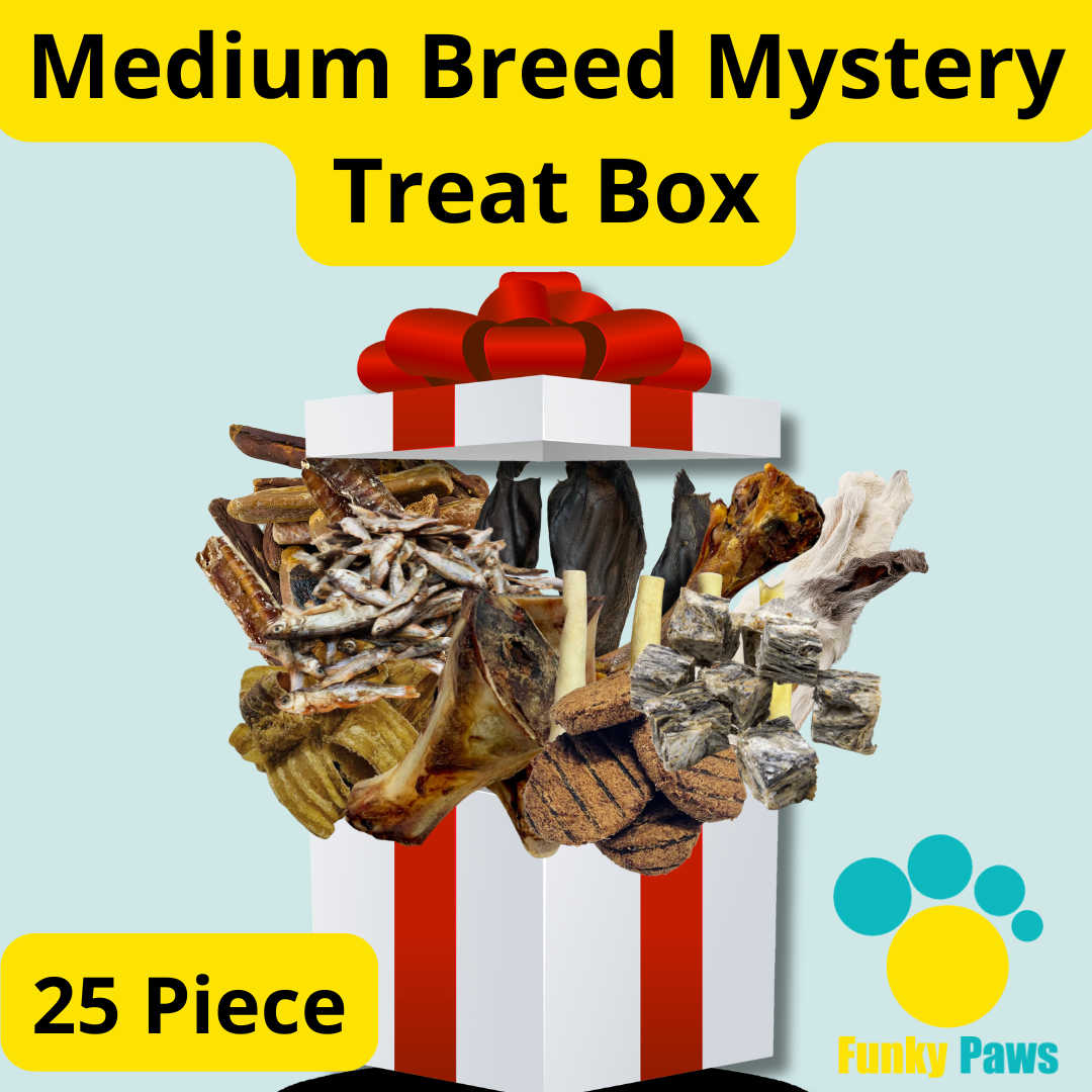 Medium Breed Mystery Treat Box - 25 Piece