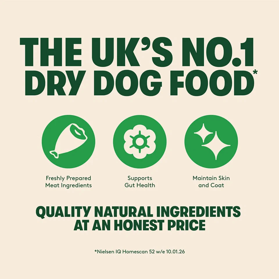 Harringtons Complete Lamb & Rice Dry Dog Food