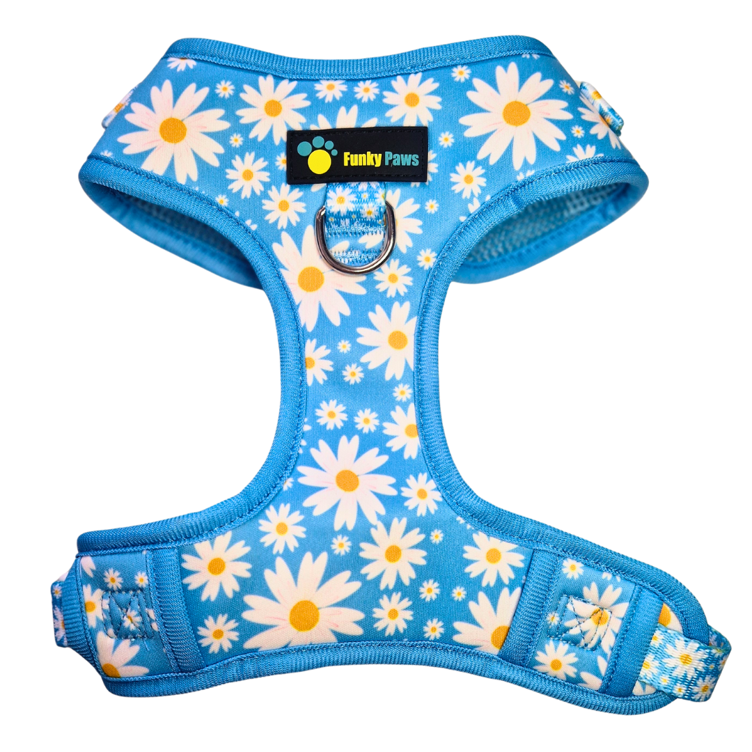 Adjustable Harness Cool Daisy